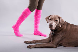 Don't Buy Sigvaris! Buy Odd Duck Compression Socks, a Canadian Company